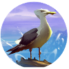 Moeve01