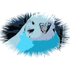 Budgerigar