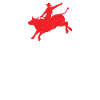 Bull Fighter Bull Riding