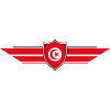 Tunisia Fan World Cup