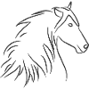 Pferd