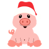 cute piggy in a Santa hat