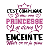 PRINCESSE ET ENCEINTE