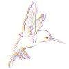 Hummingbird Effect