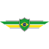 Brazil Fan World Cup
