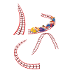 Scooter Coaster Love