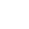 Princess Warrior