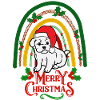 Doux Bichon Frise Noël