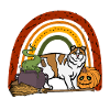 American Curl Chat d’Halloween