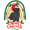 Newfoundland Christmas Dog