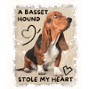 Basset-Hound, Basset funny saying