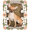 Chihuahua, funny saying, love love