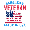 American Veterans America USA Fight