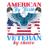 American Veterans America USA Fight