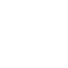 voltige cavalier sauteur