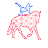 voltige cavalier sauteur