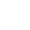 Fleischer Metzger