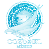 Humpback Whales Cozumel Mexico