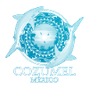 Caribbean reef shark Cozumel Mexico