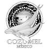 Humpback Whales Cozumel Mexico