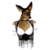 Dirndl,Woman,Deer,Blouse,Folk Festival