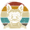 Bulldog francese Bulldog francese retrò