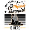 Physiotherapist Physiotherapy Physio