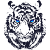Tiger - Tigerkopf mit blauen Augen