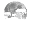 Éléphant dans la lune