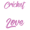 cricket first love