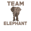 Équipe Elephant