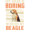 Beagle Dog