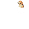 Chien Beagle