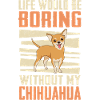 Chihuahua Dog