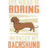 Dachshund Dog