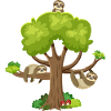 Sloth Tree