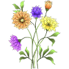 Blumen