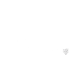 LADDY LOGGER