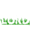 LAWN LORD