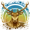 Cerf