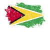 Guyana Flag Grunge Guyana Flag