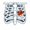 Pumpkin Skeleton Halloween