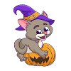 Pumpkin Halloween Witch