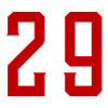 29 number symbol