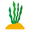 Plante - Idée cadeau