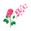 Rose Papillons Rose Fleurs Design