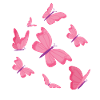 Butterflies Butterfly Design