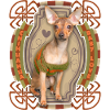 Chihuahua, funny saying, love love