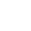 Lil Bro
