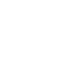Big Bro